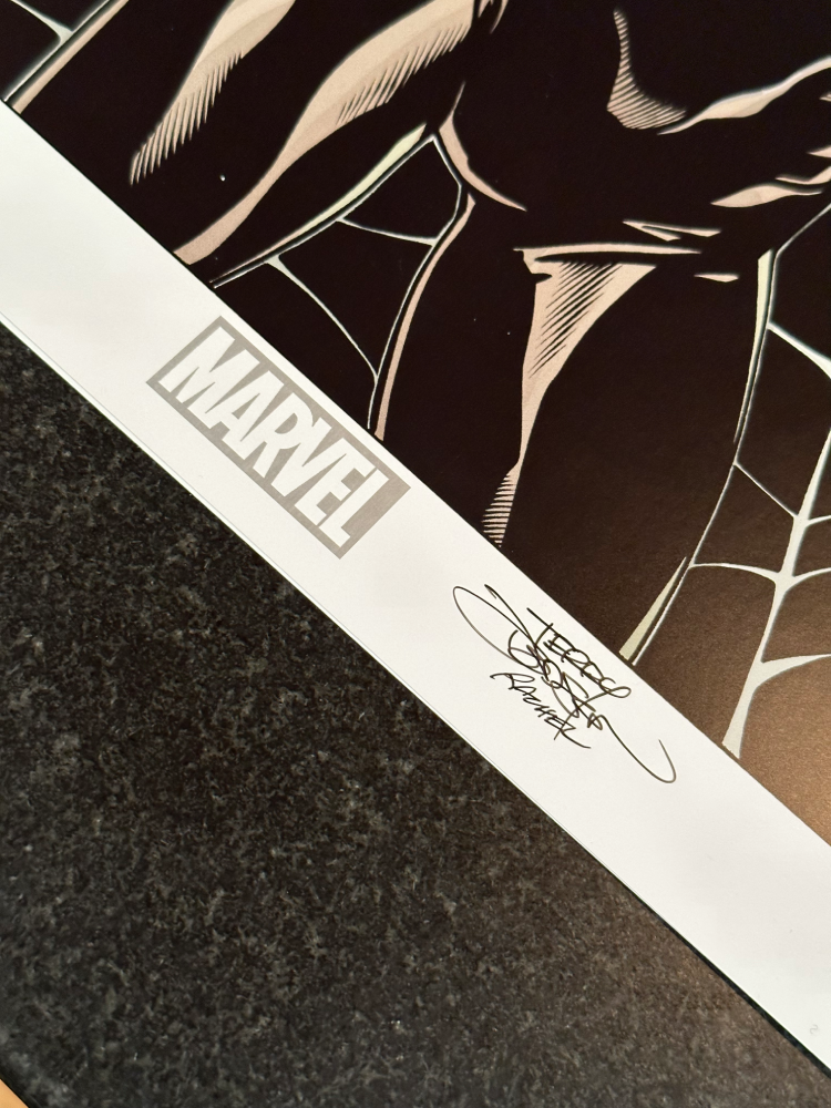 Black Cat Print