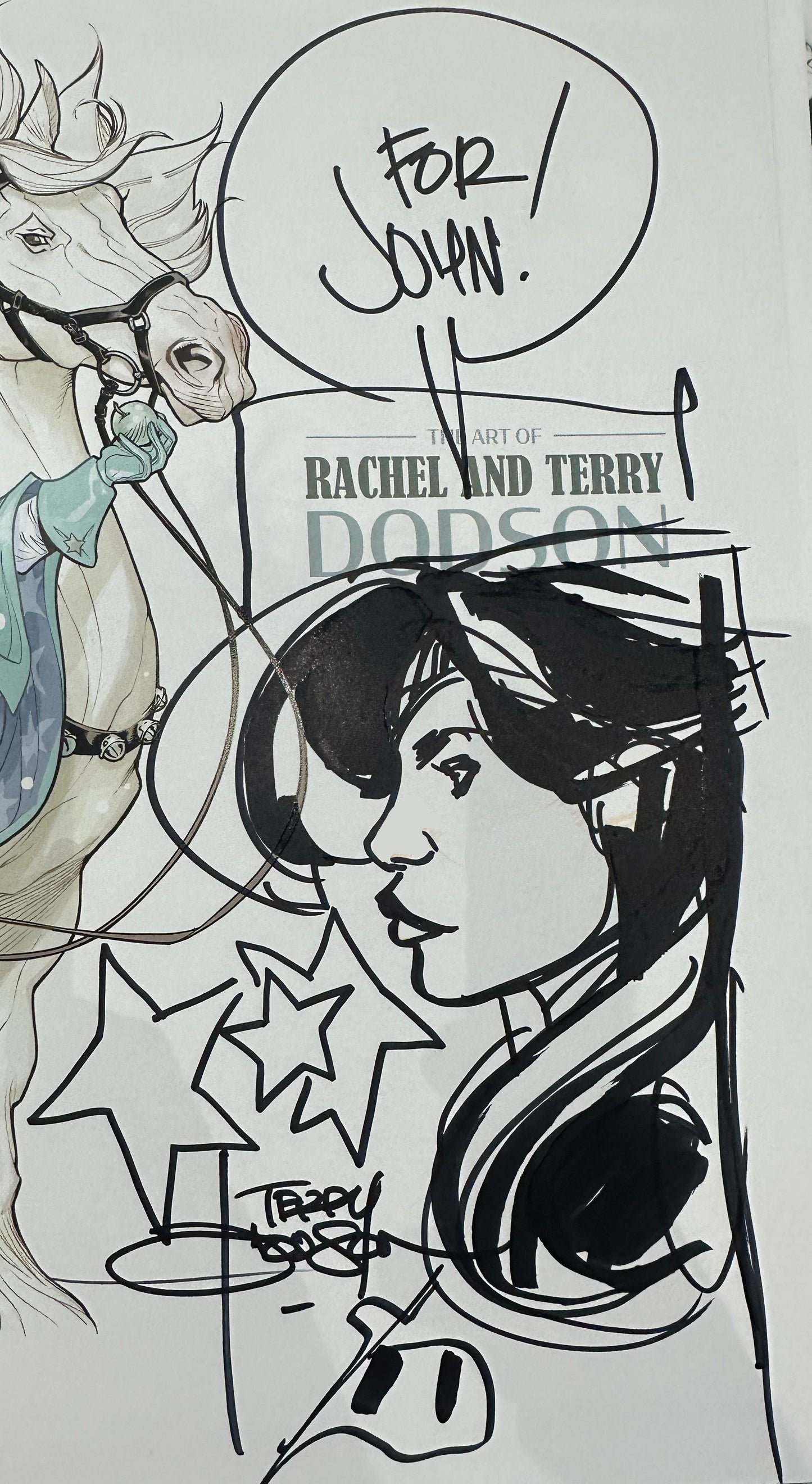 The Art of Rachel and Terry Dodson Hardcover
