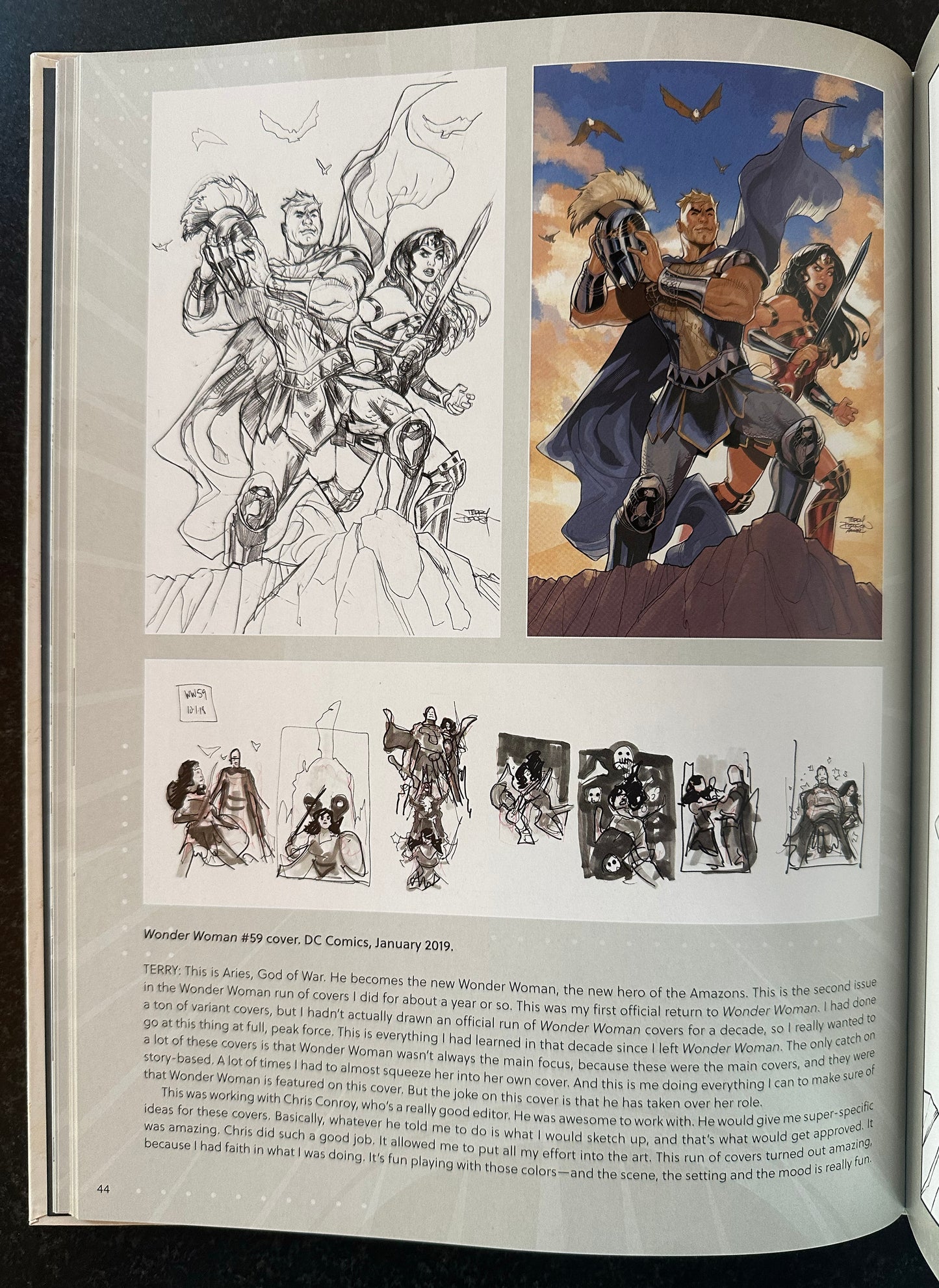 The Art of Rachel and Terry Dodson Hardcover