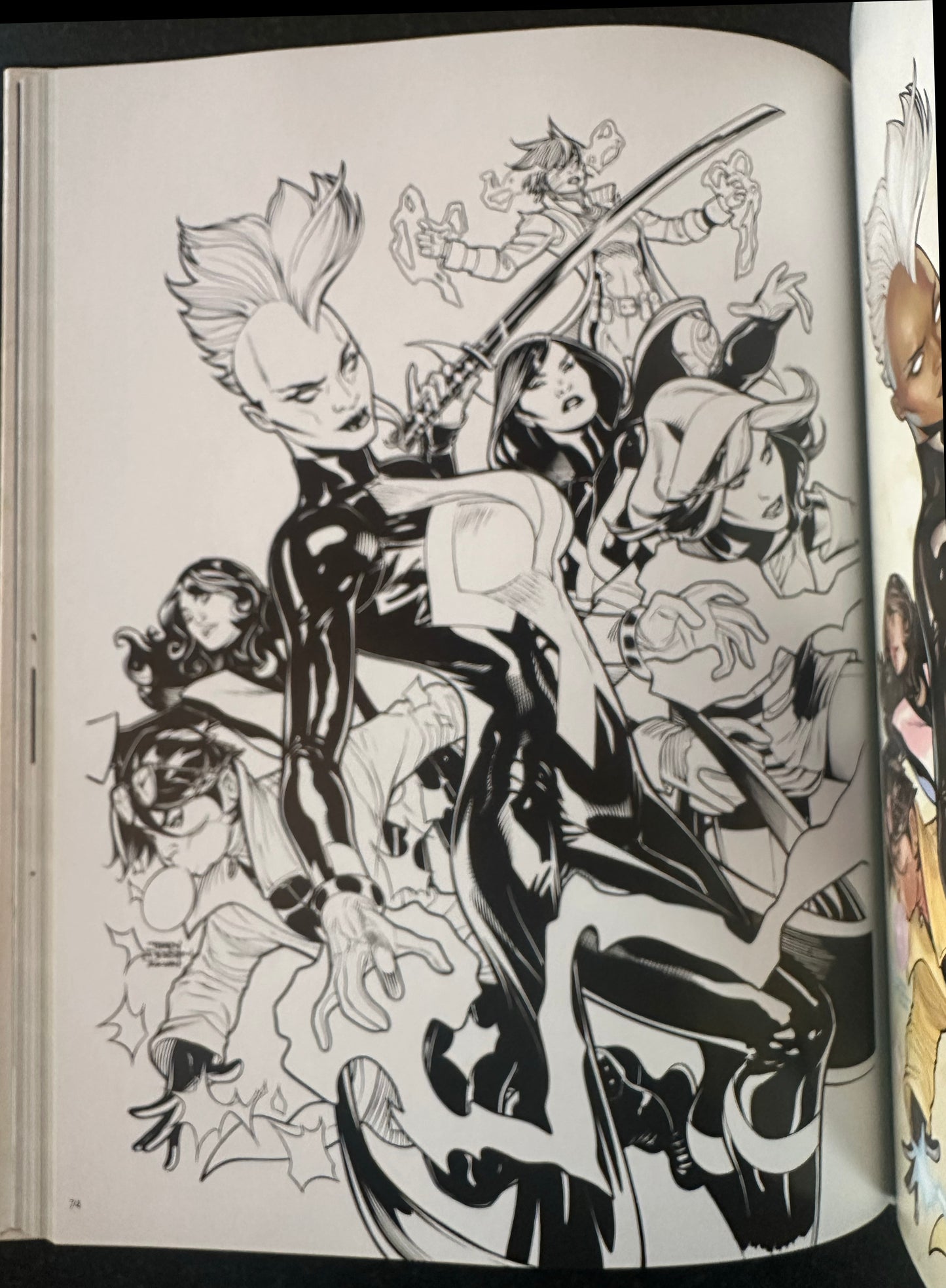 The Art of Rachel and Terry Dodson Hardcover