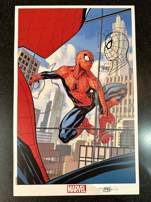 Amazing Spider-Man Print