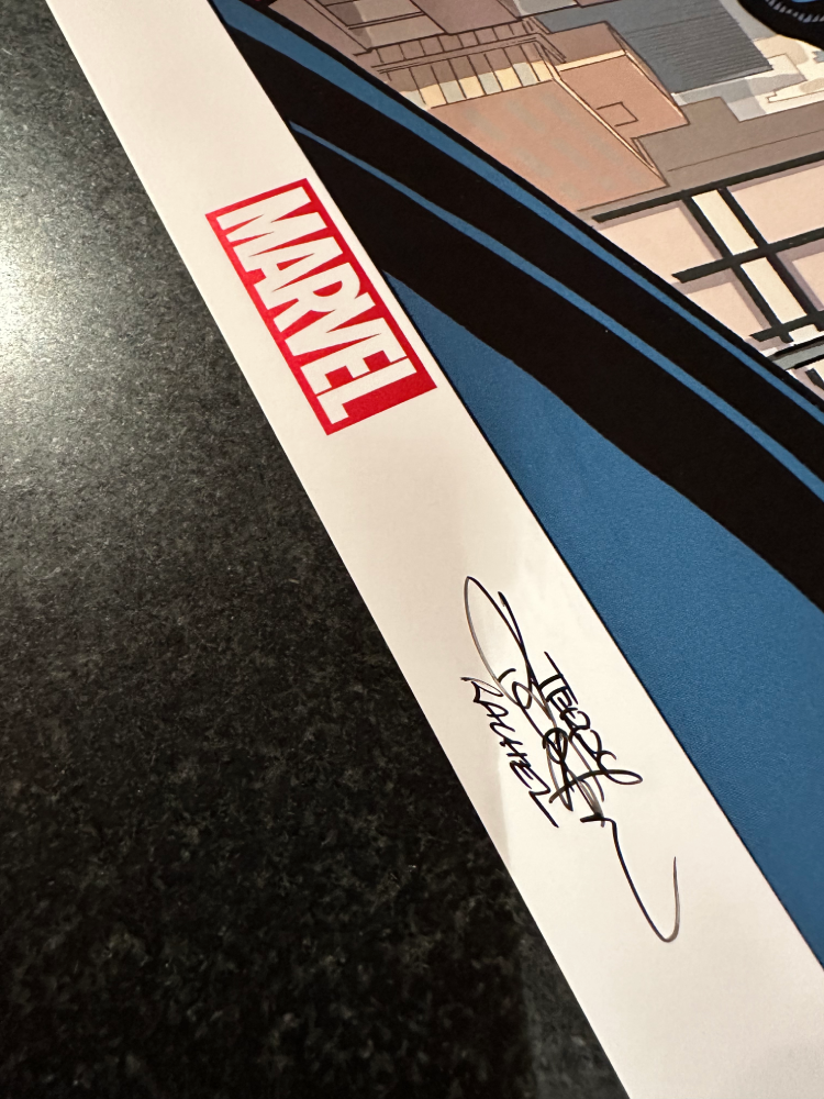 Amazing Spider-Man Print